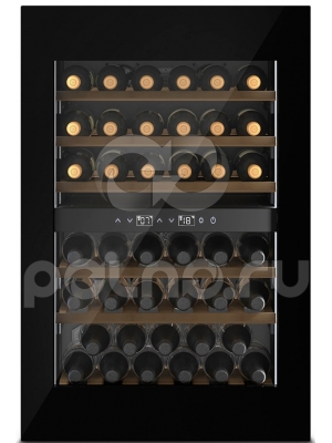   CASO WineDeluxe WD 41